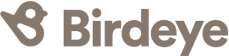 Birdeye Logo