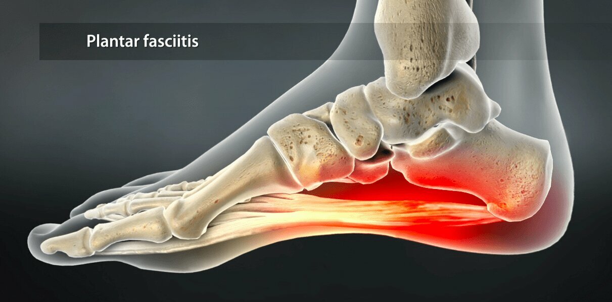 rendering of bones in foot